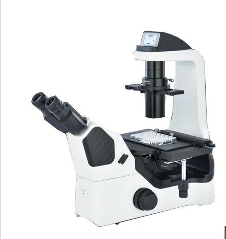 Inverted Culture Microscope iOX 600